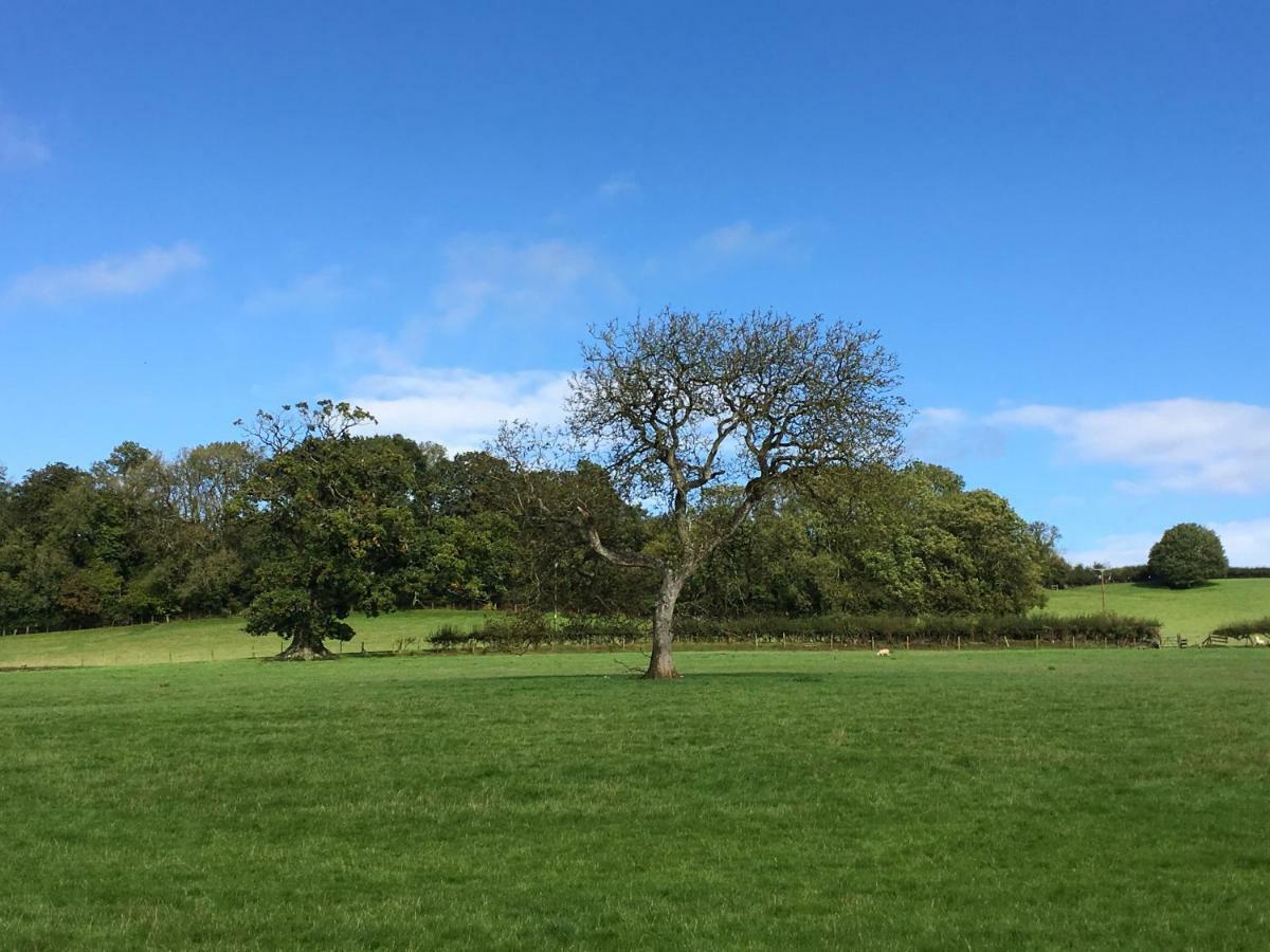 Beryl Country House Wells Esterno foto