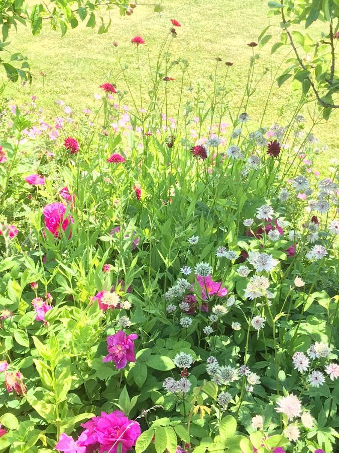Beryl Country House Wells Esterno foto